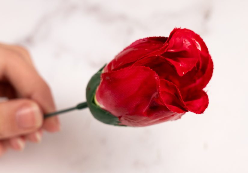 5 Ways to Dye Flowers