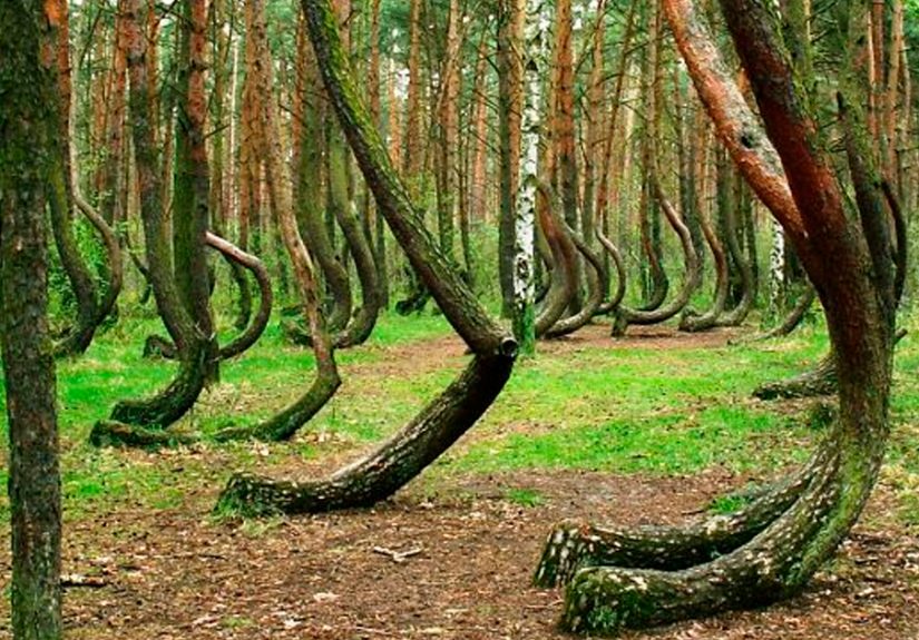 50 Of The Most Fascinating, Stunning And Dangerous Natural Phenomena