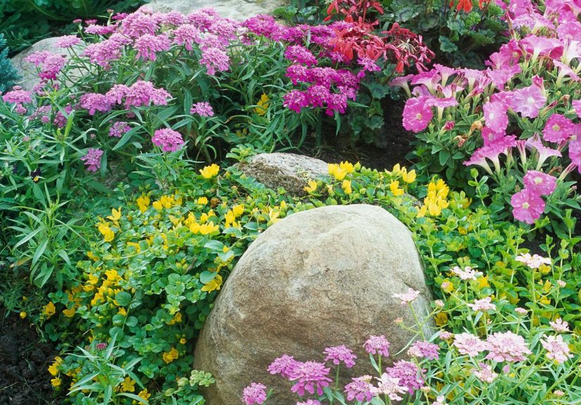 6 Tips for Creating a Low-Maintenance Cottage Garden