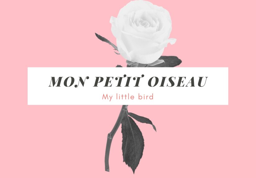 80+ French Terms of Endearment: A Beginner’s Guide