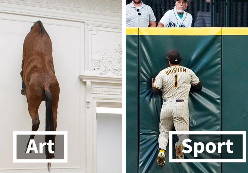&ldquo;Art But Make It Sports&rdquo;: 30 Side-Splitting Comparisons Shared By This Instagram Page