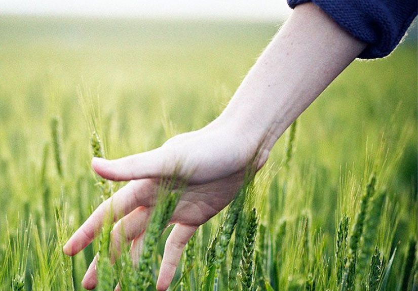 Carpal tunnel syndrome: Early signs and what to do