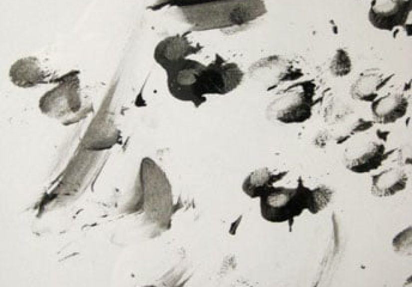 Create Custom Pet Art With Your Four-Legged Friend (And It's Free!)