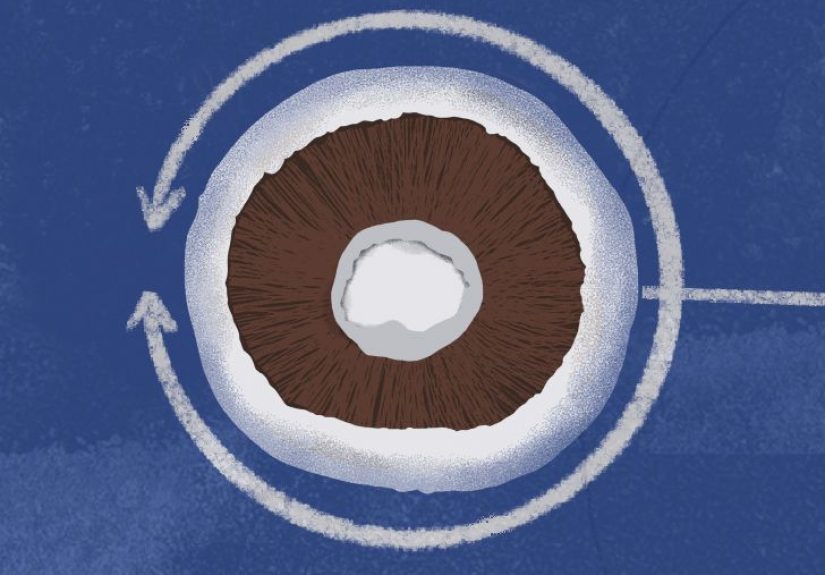 Do Any Foods Really Speed Up Metabolism, and Does It Matter?