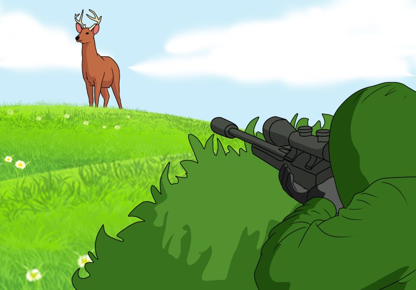 How to Feed Deer: Safe & Healthy Food Options