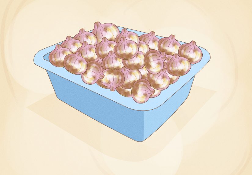 How to Plant Sprouted Onions to Regrow Them