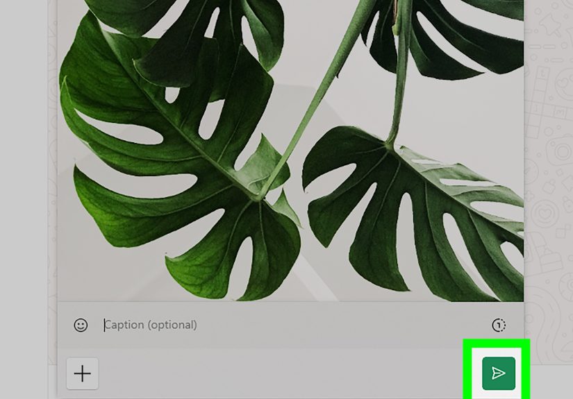 How to Send Multiple Photos from WhatsApp: iPhone, Android, PC