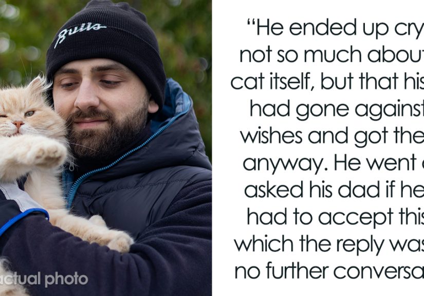 Husband Makes A Selfish Decision To Bring A Kitten Home Without Considering His Family’s Feelings