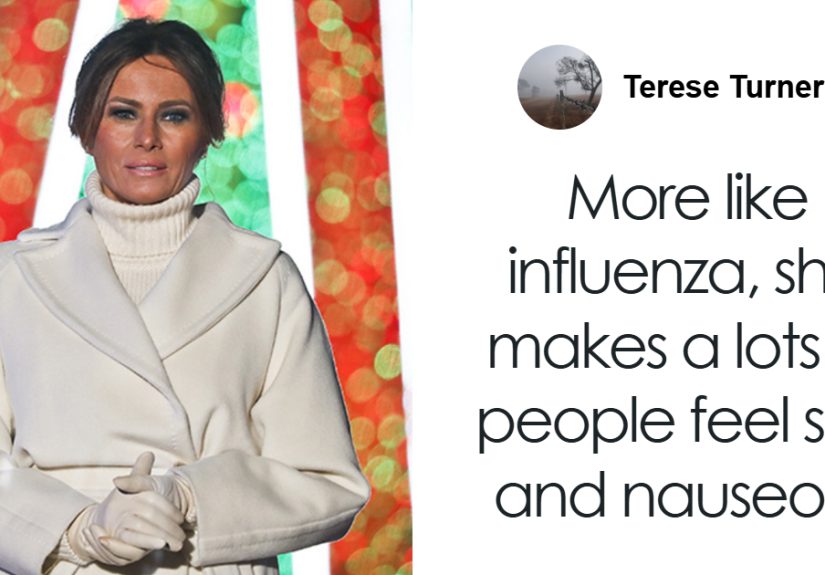 Melania Trump's New Christmas Decorations Spark Fury After People Discover Their Price