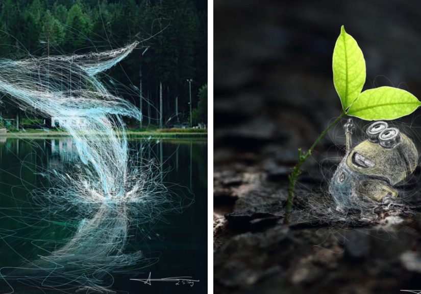 My Illustrations Of Animals And Cute Things In The Forest