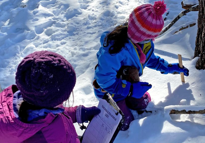 Nature Learning in All Seasons in Elementary School