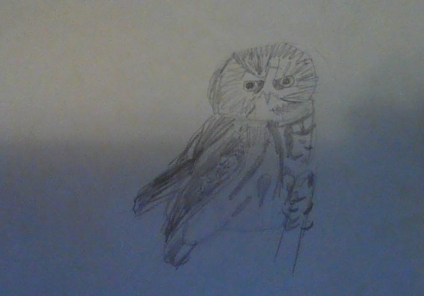 Post A Photo Of A Drawing You Made