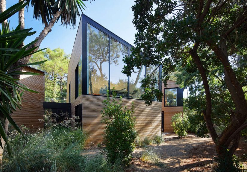 Trending on Gardenista: Gardens, Untamed